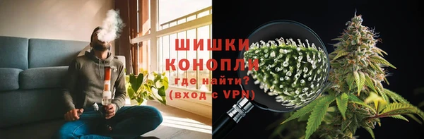 прущие грибы Нея
