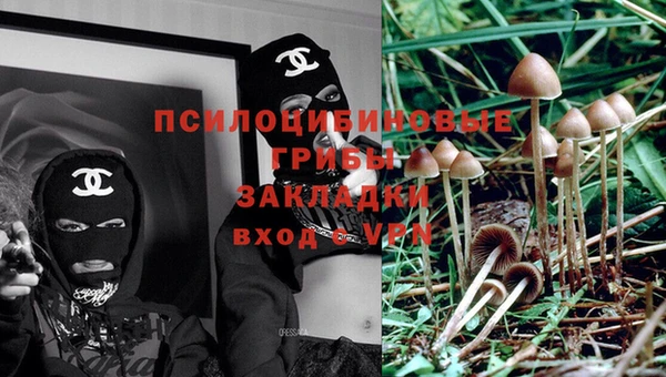 spice Надым